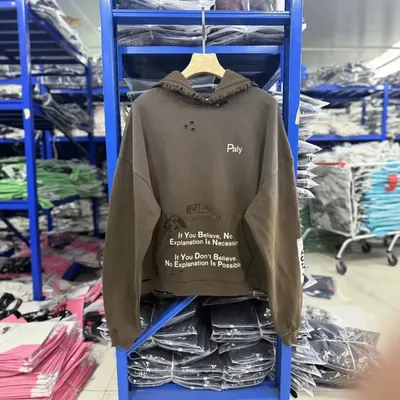 Paly Hoodie Brown Casual Sweatshirt